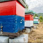 Appartamento La Casa Di Linda
