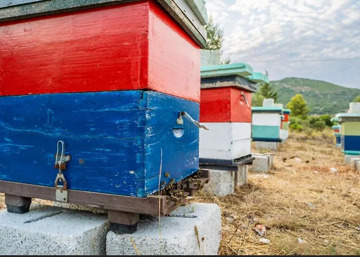 Апартаменты La Casa Di Linda